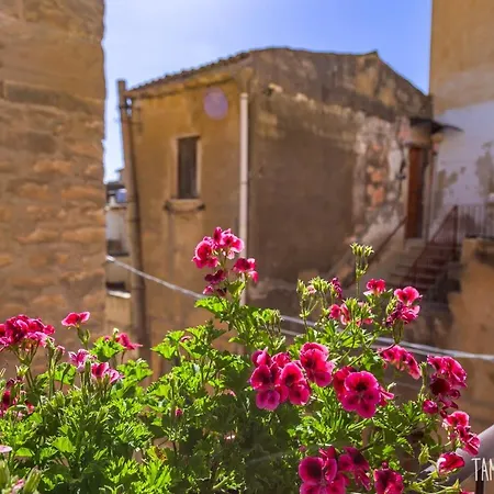 Macrame Fazello 4* شاكا