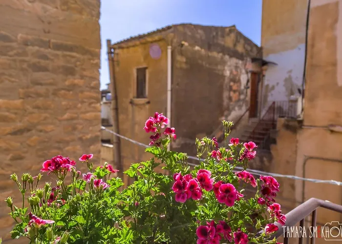 Macrame Fazello 4* שאקה